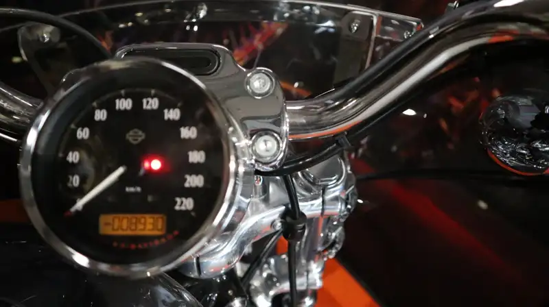 Harley-Davidson 1200 Custom - foto 4