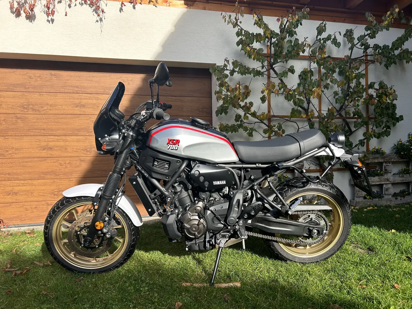 Yamaha XSR 700 XTribute Enduro Gümüş rengi - 1