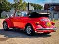 Volkswagen Kever Cabriolet 1303 LS|Volledig gerestaureerd| Rojo - thumbnail 6