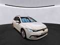 Volkswagen Golf VIII 2.0 TDI Life LED LaneAssist Weiß - thumbnail 4
