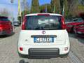 Fiat Panda 1.0 FireFly S&S Hybrid City Life Bianco - thumbnail 4