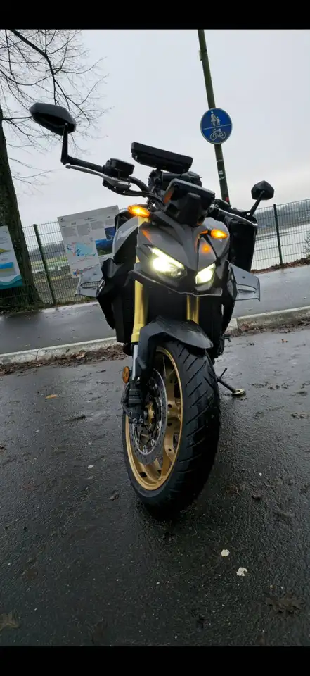 Honda Hornet