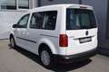 Volkswagen Caddy Kombi 2,0 TDI / NETTO: 10.816 € Weiß - thumbnail 4