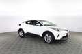Toyota C-HR C-HR 1.2T (116CV) CVT Active/Business Blanc - thumbnail 2