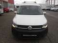 Volkswagen Caddy Kombi Maxi 4-Motion Weiß - thumbnail 8