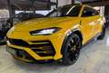 Lamborghini Urus IvaEsposta+Carbon-Ceramici+TV - thumbnail 3