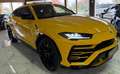 Lamborghini Urus IvaEsposta+Carbon-Ceramici+TV - thumbnail 7