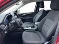 Ford Kuga 2.5 Duratec 225ch PHEV Titanium BVA Rot - thumbnail 7