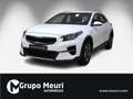 Kia XCeed 1.0 T-GDi Drive Blanc - thumbnail 22