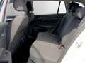 Volkswagen Golf Variant Golf VIII Variant 2.0 TDI DSG CARPLAY+MEGAPREIS Weiß - thumbnail 19