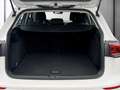 Volkswagen Golf Variant Golf VIII Variant 2.0 TDI DSG CARPLAY+MEGAPREIS Weiß - thumbnail 20