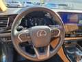 Lexus NX 450h+ E-FOUR Executive Line Technologie Paket HUD Navi 3 Grün - thumbnail 10
