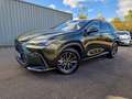 Lexus NX 450h+ E-FOUR Executive Line Technologie Paket HUD Navi 3 Grün - thumbnail 1