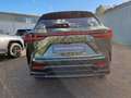 Lexus NX 450h+ E-FOUR Executive Line Technologie Paket HUD Navi 3 Grün - thumbnail 4