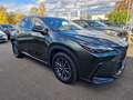 Lexus NX 450h+ E-FOUR Executive Line Technologie Paket HUD Navi 3 Grün - thumbnail 7