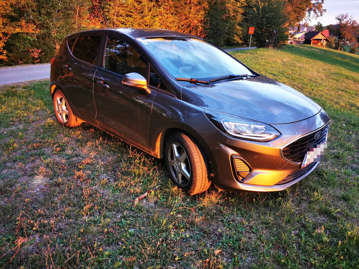 Ford Fiesta Fiesta Cool Grau - 1