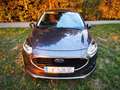 Ford Fiesta Fiesta Cool Grau - thumbnail 5