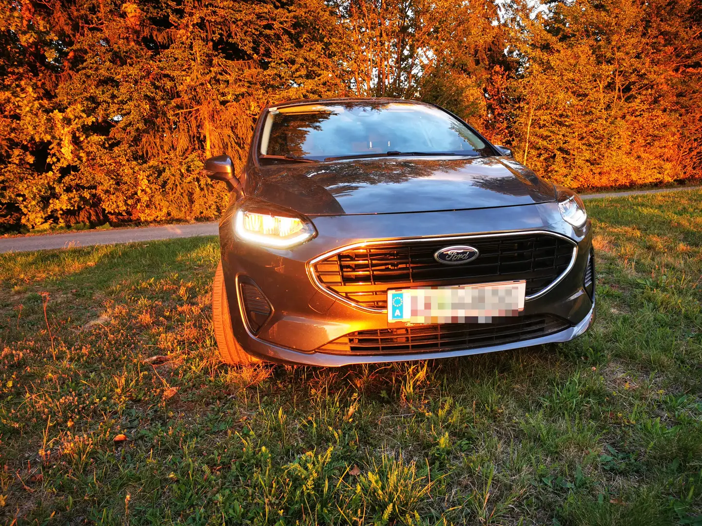 Ford Fiesta Fiesta Cool Grau - 2
