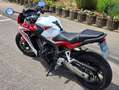 Honda CBR 650 FA (Typ RC74) Blanc - thumbnail 4