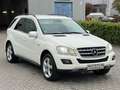 Mercedes-Benz ML 300 CDI Navi* Bi-Xenon* AHK* 4-Season* Fehér - thumbnail 4