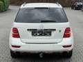 Mercedes-Benz ML 300 CDI Navi* Bi-Xenon* AHK* 4-Season* Fehér - thumbnail 8