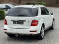 Mercedes-Benz ML 300 CDI Navi* Bi-Xenon* AHK* 4-Season* Білий - thumbnail 9
