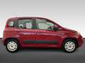 Fiat Panda TwinAir 60PK Edizione Cool Rouge - thumbnail 9