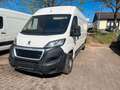 Peugeot Boxer Kasten 335 L2H2 Pro Avantage Plus Navi A/C Alb - thumbnail 1