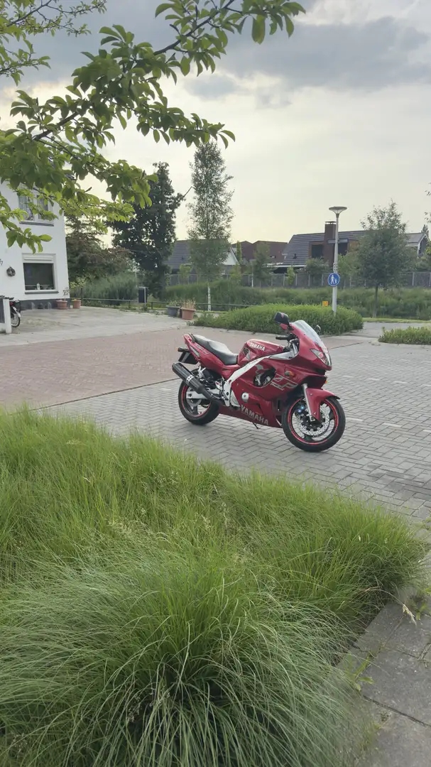 Yamaha YZF 600 Yamaha YZF 600R Thundercat - 2