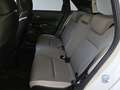 Honda Jazz 1,5 i-MMD Hybrid Crosstar Executive Aut. Blanco - thumbnail 8