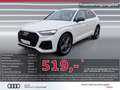 Audi SQ5 TDI MATRIX AHK ACC Optik-schwarz Kamera 20" Weiß - thumbnail 1