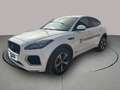 Jaguar E-Pace 2.0D R-DYNAMIC S AUTO 4WD 163CV 5P Blanco - thumbnail 1