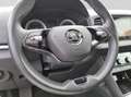 Skoda Karoq 2.0 TDI DSG 4X4 CLEVER NAVI LED KAMERA AHK Gris - thumbnail 9