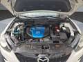 Mazda CX-5 Attraction 2WD Weiß - thumbnail 21