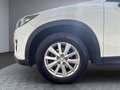 Mazda CX-5 Attraction 2WD Weiß - thumbnail 22