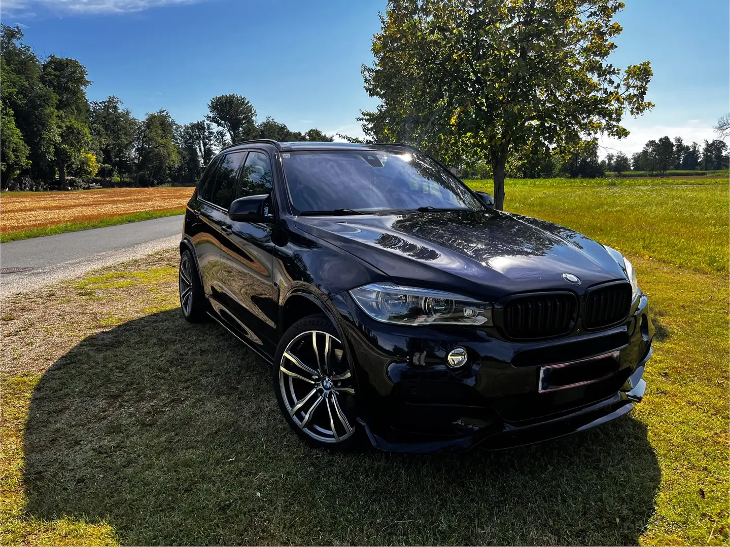 BMW X5 X5 xDrive30d Aut. - 1