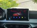 SEAT Arona 1,5 TSi 150PS FR DSG Automatic Gris - thumbnail 11
