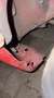 Toyota MR 2 Aw11 - thumbnail 11