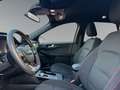Ford Kuga 2,0 EcoBlue  8-fach bereift! Schwarz - thumbnail 9