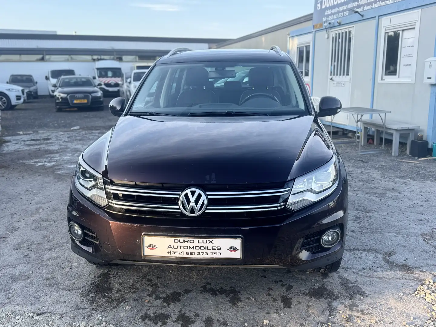 Volkswagen Tiguan 2.0 TDI DPF 4Motion BlueMotion  184ch - 2