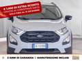 Ford EcoSport 1.0 ecoboost active s&s 125cv Gri - thumbnail 3