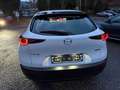 Mazda CX-30 Selection 2WD,Bose-Sound,Unfallfrei Blanc - thumbnail 8