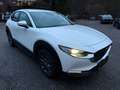 Mazda CX-30 Selection 2WD,Bose-Sound,Unfallfrei Blanc - thumbnail 5