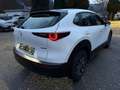 Mazda CX-30 Selection 2WD,Bose-Sound,Unfallfrei Blanc - thumbnail 6