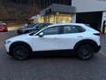 Mazda CX-30 Selection 2WD,Bose-Sound,Unfallfrei Blanc - thumbnail 1