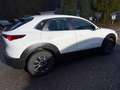 Mazda CX-30 Selection 2WD,Bose-Sound,Unfallfrei Blanc - thumbnail 14