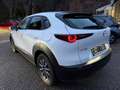 Mazda CX-30 Selection 2WD,Bose-Sound,Unfallfrei Blanc - thumbnail 7
