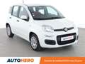 Fiat Panda 1.0 Hybride BSG Easy Blanc - thumbnail 8