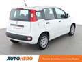Fiat Panda 1.0 Hybride BSG Easy Blanc - thumbnail 6