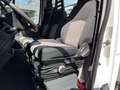 Iveco Daily 35S14G 345 CNG Aardgas ( natural Gas ) benzine Pic Blanc - thumbnail 30